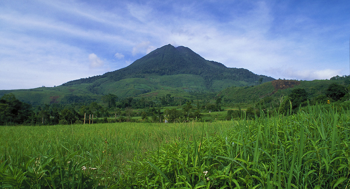 Find specific Sumatra mountain images and information easily