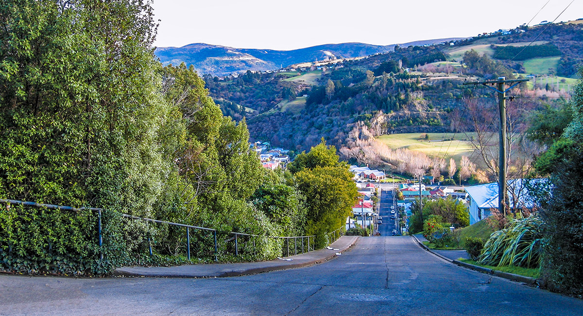 Dunedin New Zealand landscape, culture, travel images ...