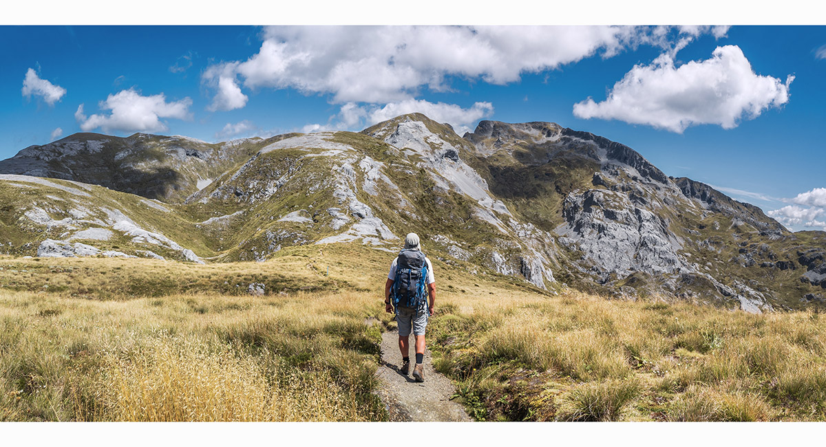 Mt Arthur bivvy and Gordons Pyramid, February 2023 - Occasional Climber